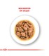 Royal Canin Mini Adulto: Alimento Premium para Perros Pequeños