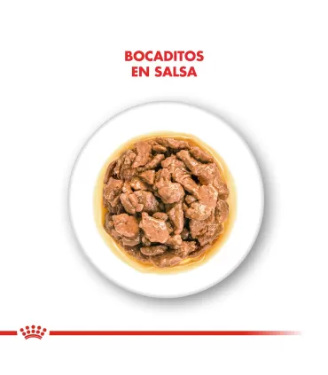 Royal Canin Mini Adulto: Alimento Premium para Perros Pequeños