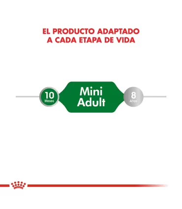 Royal Canin Mini Adulto: Alimento Premium para Perros Pequeños