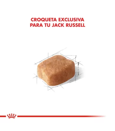 Here's the translation in Spanish:Royal Canin Jack Russell Adulto 3kg | Nutrición Específica para RazaNote: The translation ma