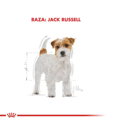 Here's the translation in Spanish:Royal Canin Jack Russell Adulto 3kg | Nutrición Específica para RazaNote: The translation ma