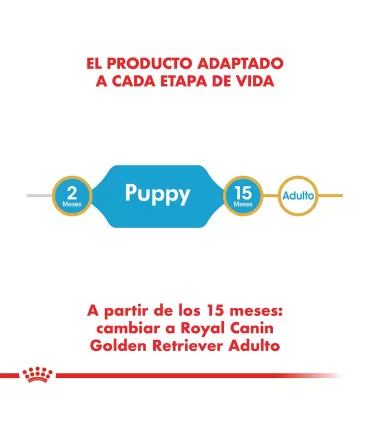 Alimento para perros Royal Canin Golden Junior 12kg