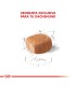 Royal Canin Cachorro Dachshund 3kg - Alimento