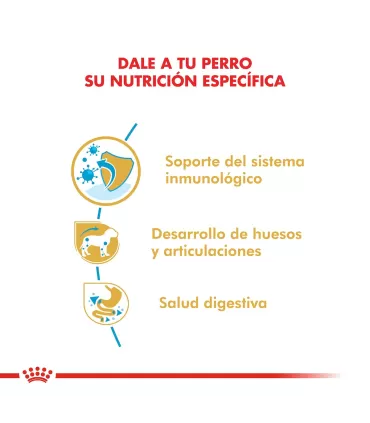 Royal Canin Cachorro Dachshund 3kg - Alimento