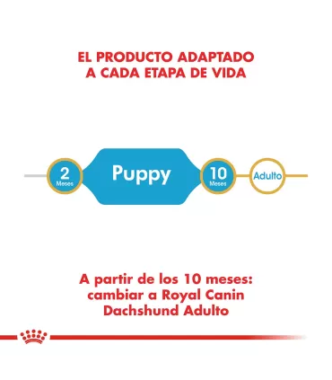 Royal Canin Cachorro Dachshund 3kg - Alimento