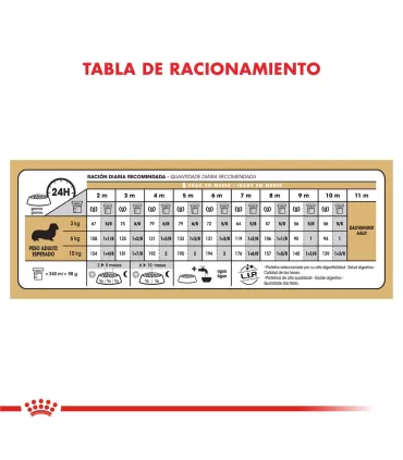 Royal Canin Cachorro Dachshund 3kg - Alimento