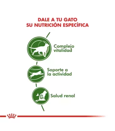 Royal Canin Active 7+ 2kg