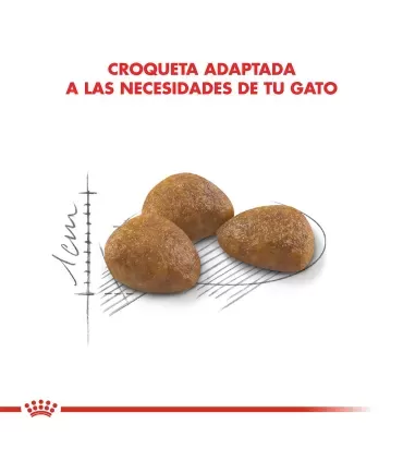 Royal Canin Active 7+ 2kg