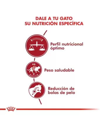 Royal Canin Fit Feline 1.5kg | Alimento Premium para Gatos Sanos