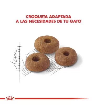 Royal Canin Fit Feline 1.5kg | Alimento Premium para Gatos Sanos