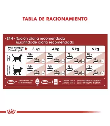 Royal Canin Fit Feline 15kg | Alimento Premium para Gatos Sanos