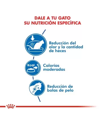 Royal Canin Indoor: Alimento Premium para Gatos de Interior 1.5kg