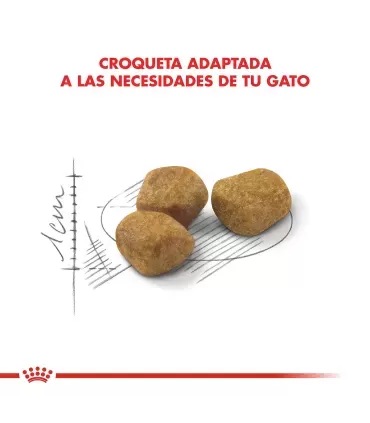 Royal Canin Indoor 7+ Feline 1.5kg