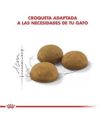 Royal Canin Indoor Long Hair: Nutrición Óptima para Gatos Domésticos