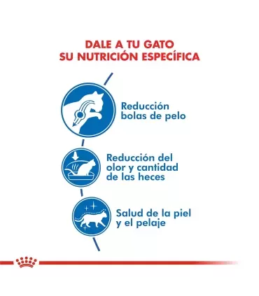 Royal Canin Indoor Long Hair: Nutrición Óptima para Gatos Domésticos