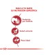 Royal Canin Instinctive Feline Pouch 12 x 85g