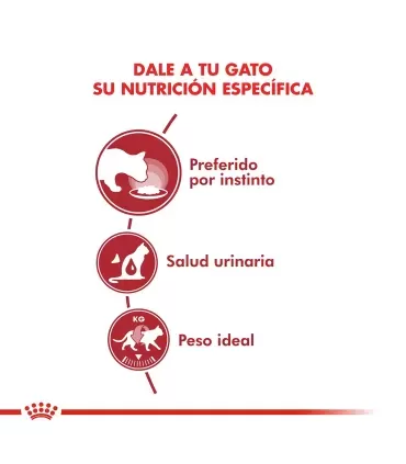 Royal Canin Instinctive Feline Pouch 12 x 85g