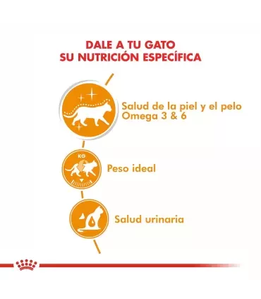 Royal Canin Hairball Care Feline 1.5Kg