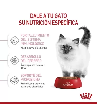 Royal Canin Kitten 36 2kg