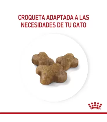 Royal Canin Kitten 36 7.5kg