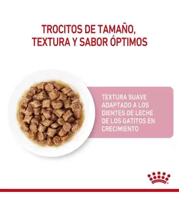 Royal Canin Kitten: Alimento Húmedo Premium para Gatitos Sanos