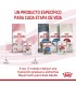 Royal Canin Kitten: Alimento Húmedo Premium para Gatitos Sanos