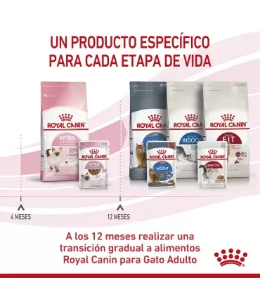 Royal Canin Kitten: Alimento Húmedo Premium para Gatitos Sanos