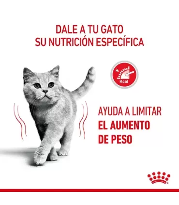 Royal Canin Light Weight Care: Alimento Gatos Control de Peso 7.5kg