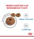 Royal Canin Light Weight Care: Alimento Gatos Control de Peso 7.5kg