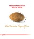 Royal Canin Persian 1.5kg
