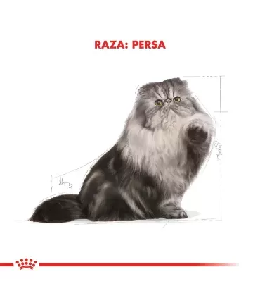 Royal Canin Persian 1.5kg