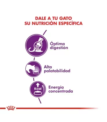 Royal Canin Sensible: Alimento Premium para Gatos Digestivos 7.5kg