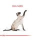 Royal Canin Siamese 7.5kg | Alimento Premium para Gatos Siameses