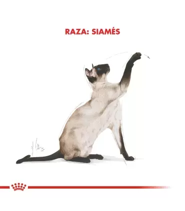 Royal Canin Siamese 7.5kg | Alimento Premium para Gatos Siameses