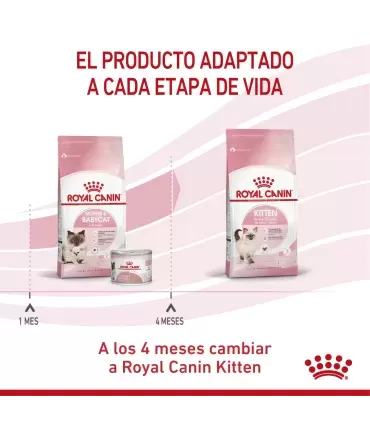 Royal Canin Babycat 1.5kg | Alimento Premium para Gatitos Recién Nacidos