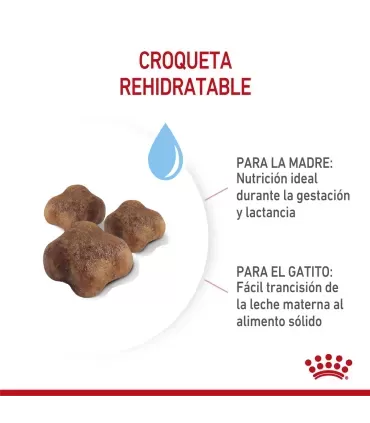 Royal Canin Babycat 1.5kg | Alimento Premium para Gatitos Recién Nacidos