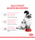 Royal Canin Babycat 1.5kg | Alimento Premium para Gatitos Recién Nacidos