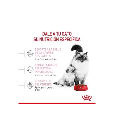 Royal Canin Babycat 1.5kg | Alimento Premium para Gatitos Recién Nacidos