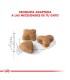 Royal Canin Sensible: Alimento Gatos con Digestión Sensible 1.5kg