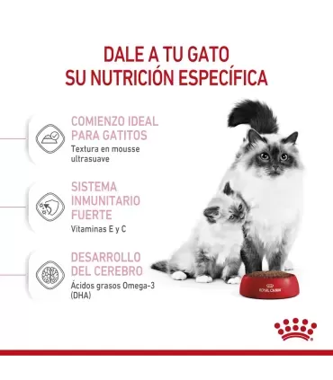 Royal Canin Babycat: Alimento Premium para Gatitos Recién Destetados
