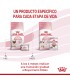 Royal Canin Babycat: Alimento Premium para Gatitos Recién Destetados