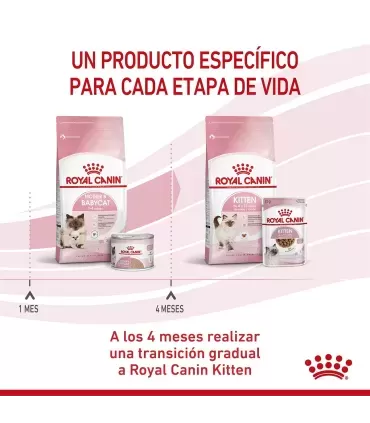 Royal Canin Babycat: Alimento Premium para Gatitos Recién Destetados