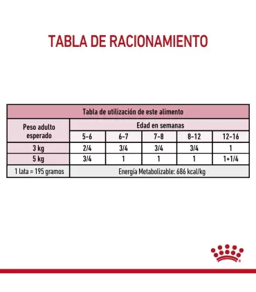 Royal Canin Babycat: Alimento Premium para Gatitos Recién Destetados