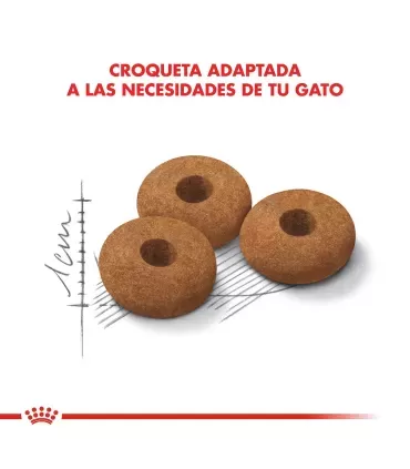 Royal Canin Appetite Control: Alimento Gatos Control de Peso 1.5kg