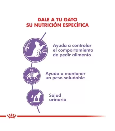 Royal Canin Appetite Control: Alimento Gatos Control de Peso 3kg