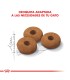 Royal Canin Appetite Control: Alimento Gatos Control de Peso 3kg