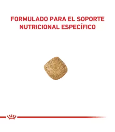 Royal Canin Gato Castrado Mature 3.5kg