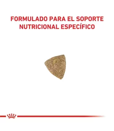 Royal Canin Calm: Alimento Gatos Reducción Estrés y Ansiedad 2kg