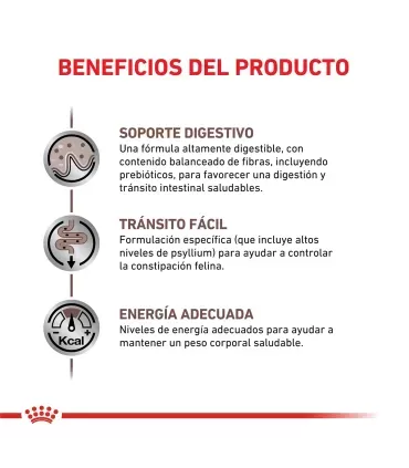 Royal Canin Gastrointestinal | Alimento Gatos Digestión Sensible 2kg