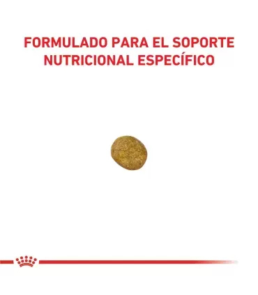 Royal Canin Renal | Alimento Especial para Gatos con Problemas Renales